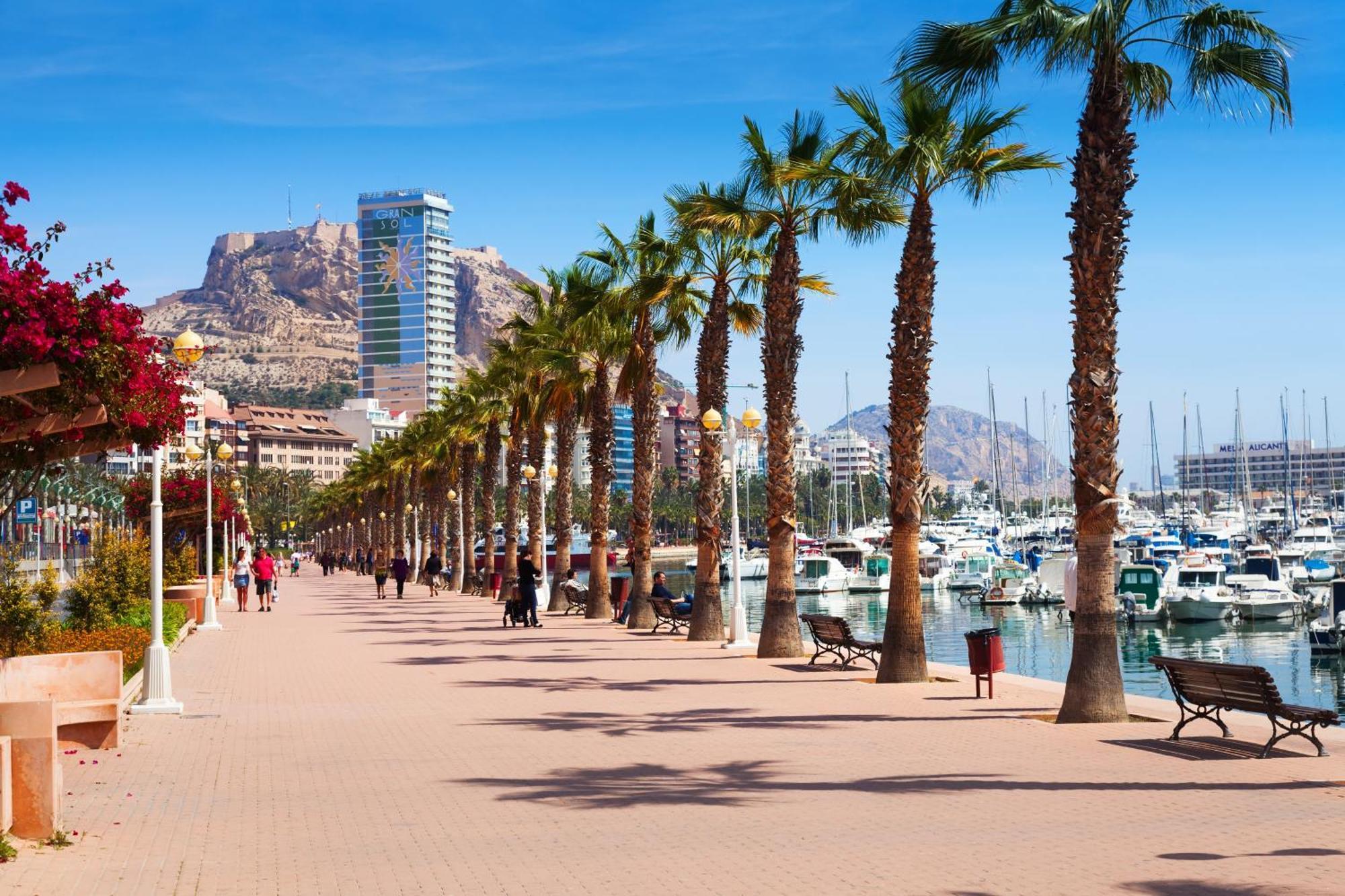 Apartamento Grande Y Luminoso En El Centro De Alicante Exterior foto